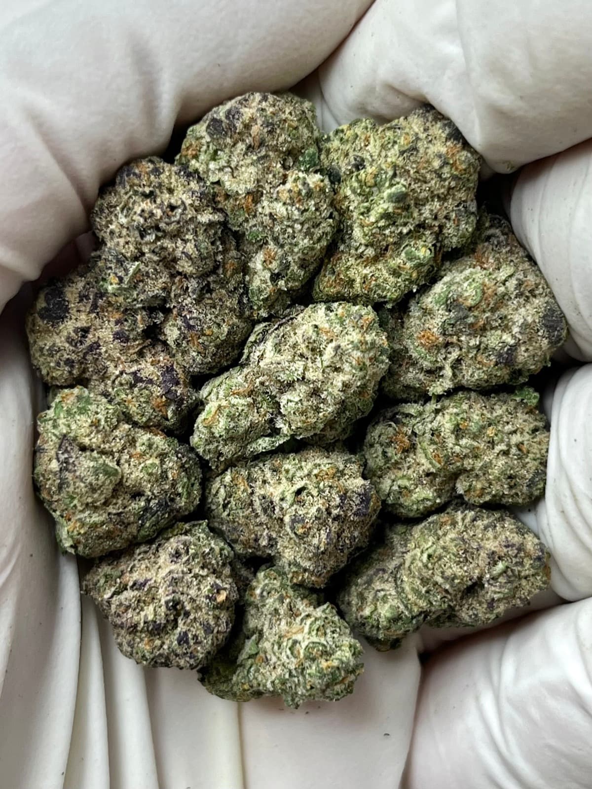 Field Fresh
